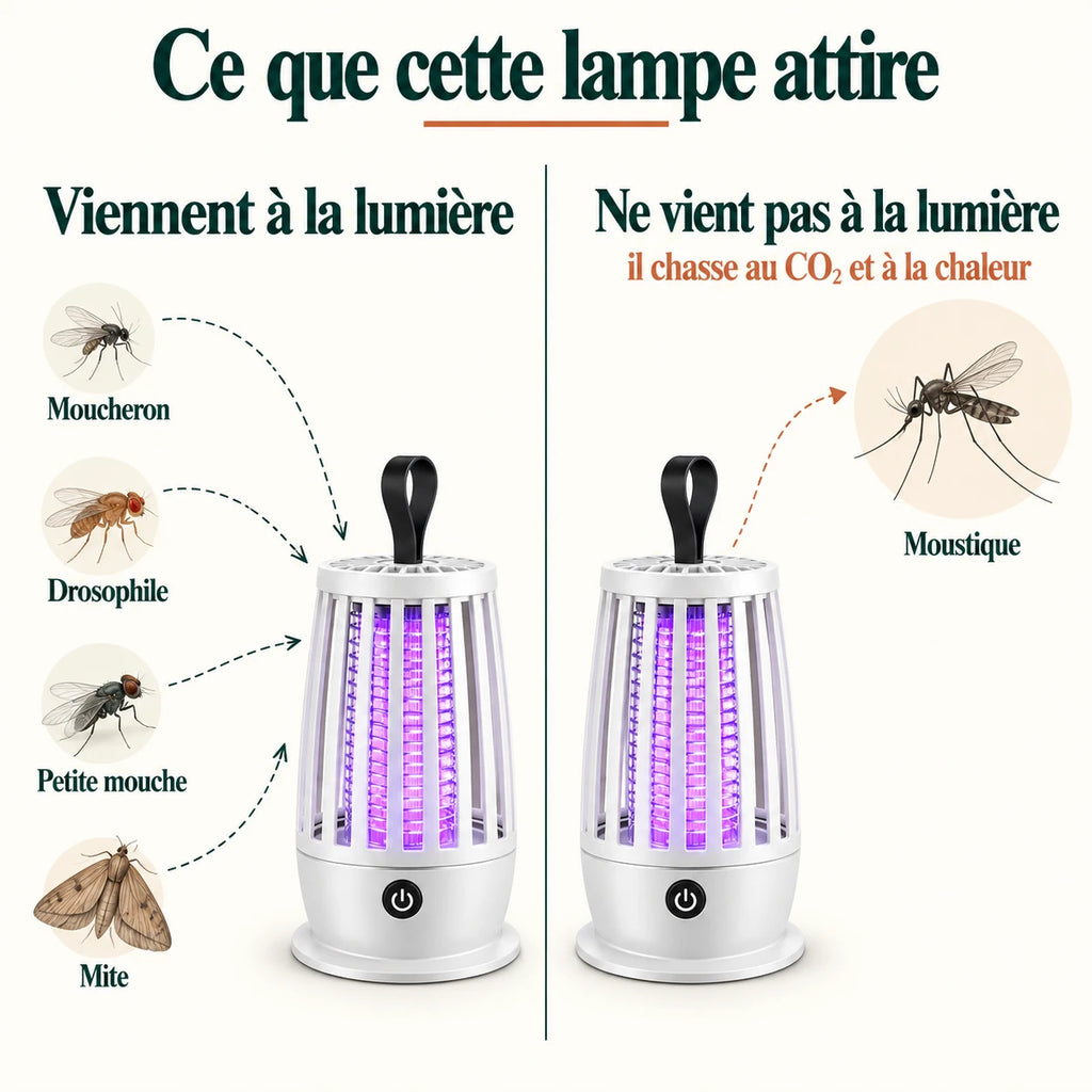 Moucherons, drosophiles, petites mouches et mites viennent à la lumière ; le moustique non