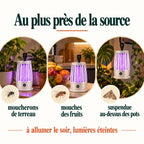 Où placer la lampe : entre les pots de plantes, près des fruits, ou suspendue