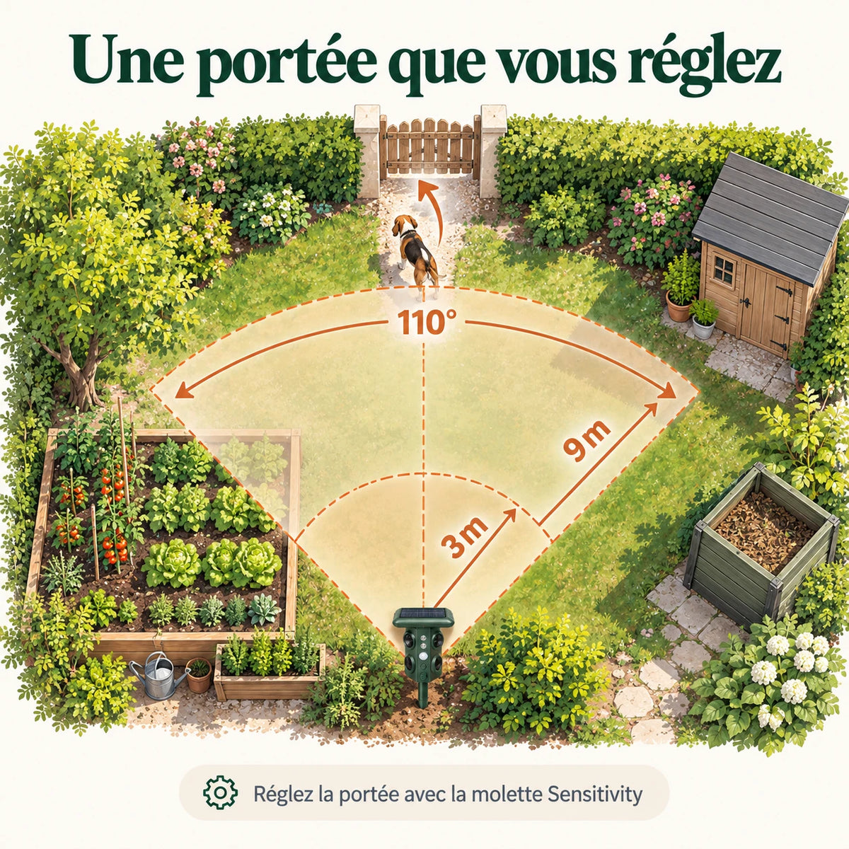 Zone de détection du répulsif : angle de 110° et portée réglable de 3 à 9 mètres dans un jardin
