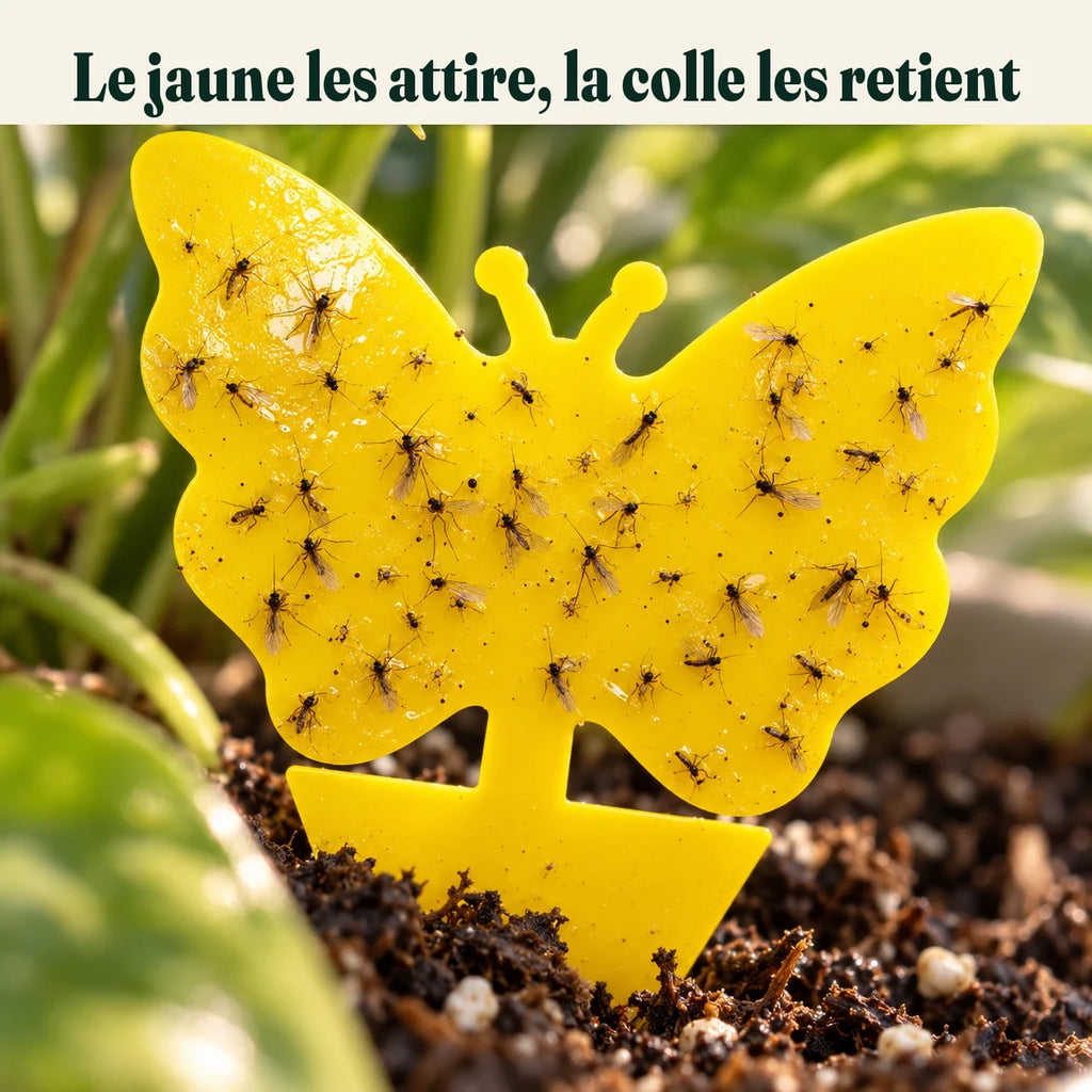 Gros plan d'un piège jaune couvert de moucherons pris dans la colle