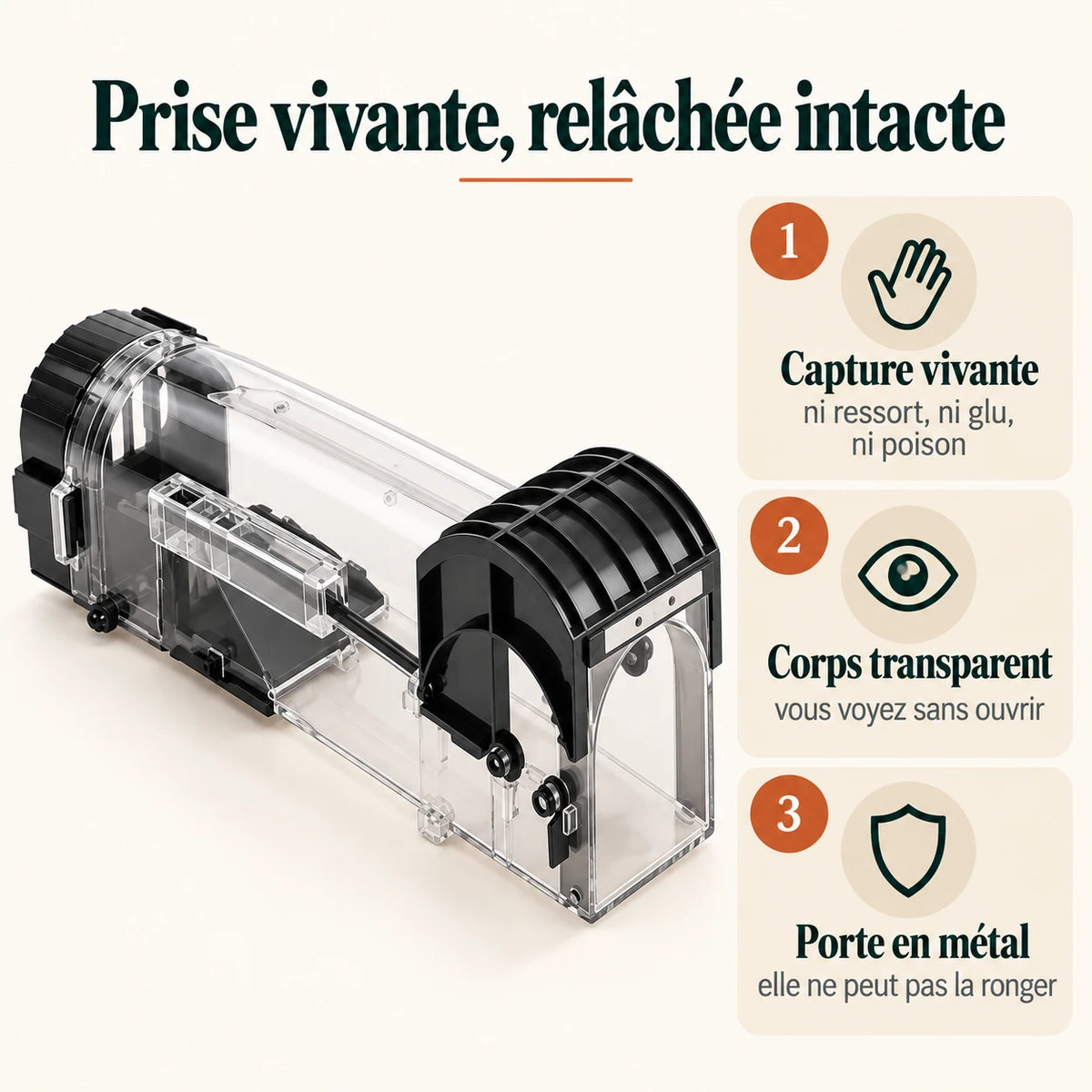 Piège à souris Naturia : capture vivante sans ressort ni glu ni poison, corps transparent pour vérifier sans ouvrir, porte en métal inrongeable