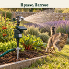 Répulsif chat à jet d'eau déclenché au bord d'un potager, chat tigré qui s'éloigne d'un bond