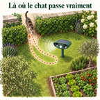 Où placer le répulsif chat solaire : face au passage du chat, entre le mur et le potager