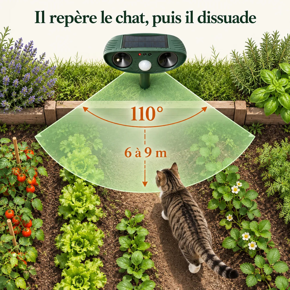 Zone de détection du répulsif chat solaire : éventail de 110° sur 6 à 9 mètres devant l'appareil