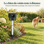 Répulsif chien planté au bord d'un massif, un chien s'éloigne sur la pelouse