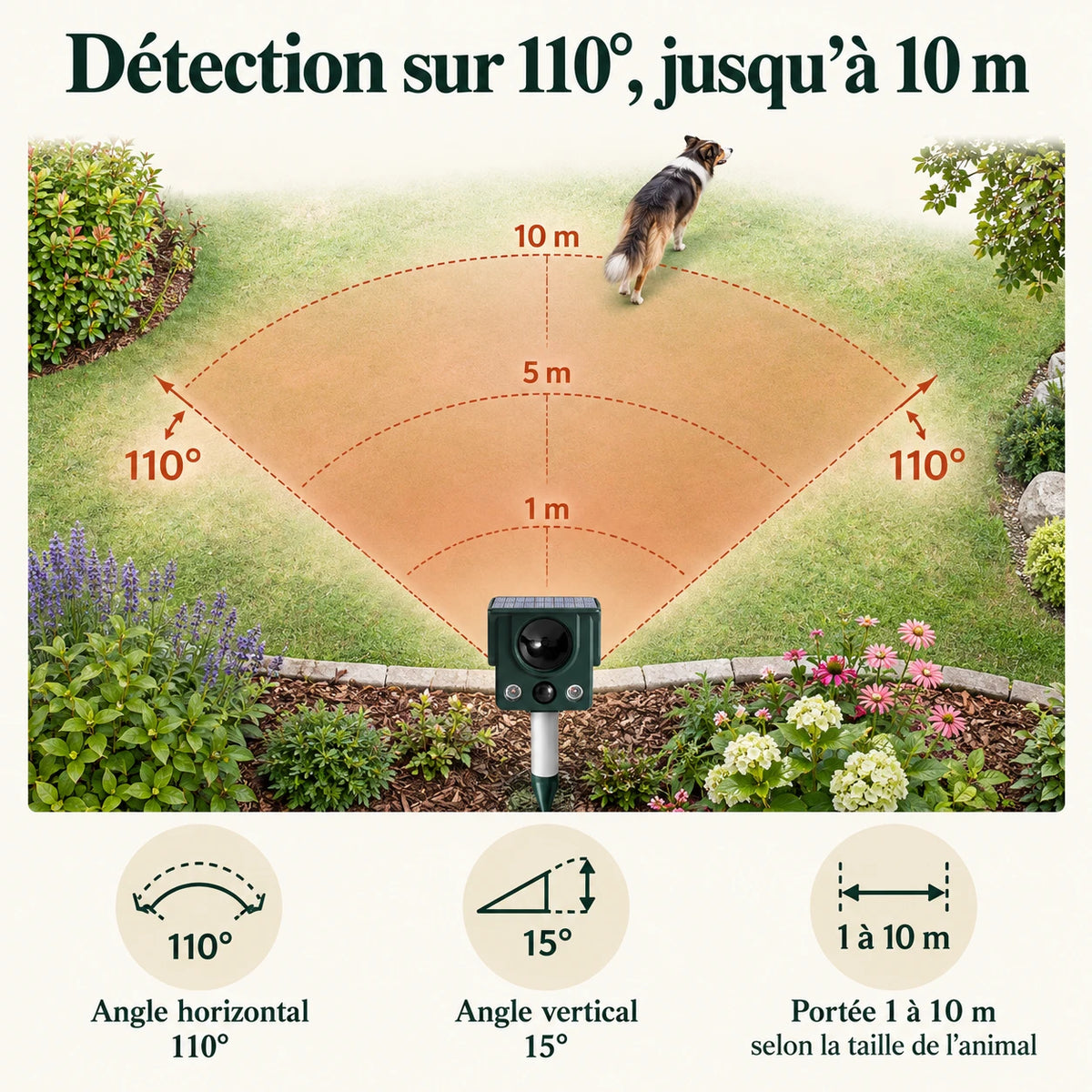 Zone de détection du répulsif chien : 110° à l'horizontale, de 1 à 10 mètres
