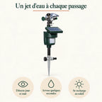 Fonctionnement du répulsif fouine : détection jour et nuit, jet d'eau de quelques secondes, recharge solaire