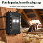 Répulsif fouine fixé à une poutre dans des combles, LED allumées, une fouine s'éloigne