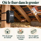 Où fixer le répulsif fouine dans le grenier : près du passage, à découvert, sur un support stable