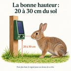 Hauteur de pose du répulsif lapin : entre 20 et 30 cm du sol, à hauteur du museau du lapin