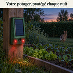 Répulsif lapin fixé sur un piquet au bord du potager, flash allumé à la nuit tombée