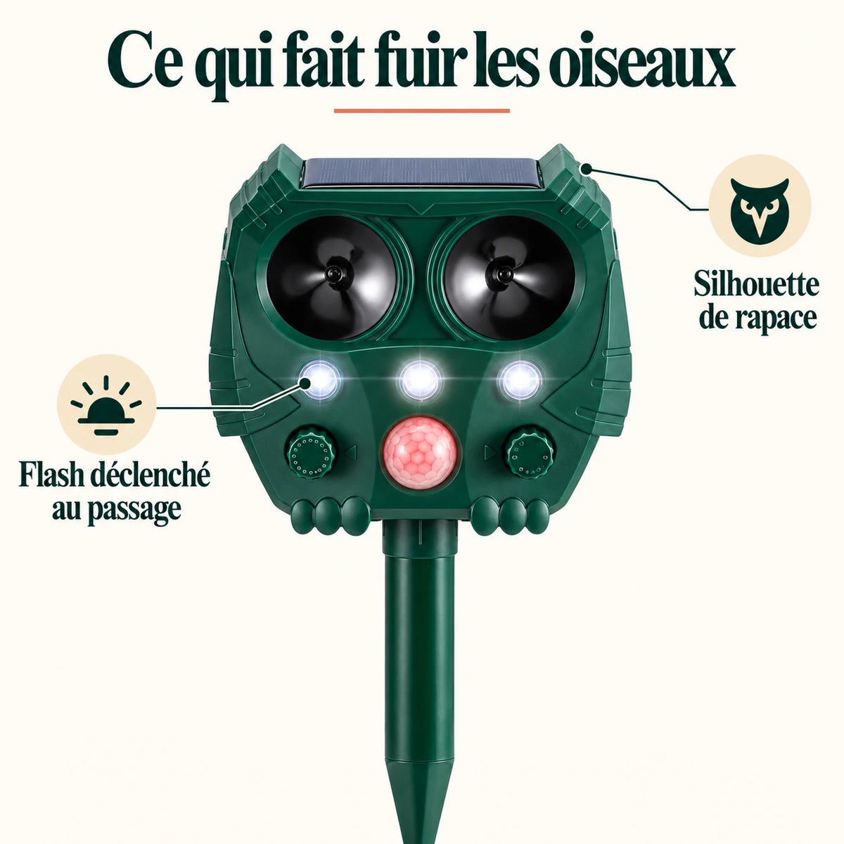 Ce qui fait fuir les oiseaux : la silhouette de rapace et le flash déclenché au passage