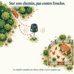 Où placer le répulsif renard : sur son chemin d'approche entre le bois et le poulailler