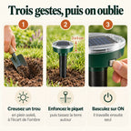 Installation du répulsif serpent en 3 étapes : creuser un trou, enfoncer le piquet en laissant dépasser 3 à 5 cm, basculer l'interrupteur sur ON