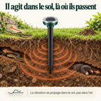 Coupe de terre montrant la vibration du répulsif se propager dans le sol vers un serpent et une taupe, et non dans l'air