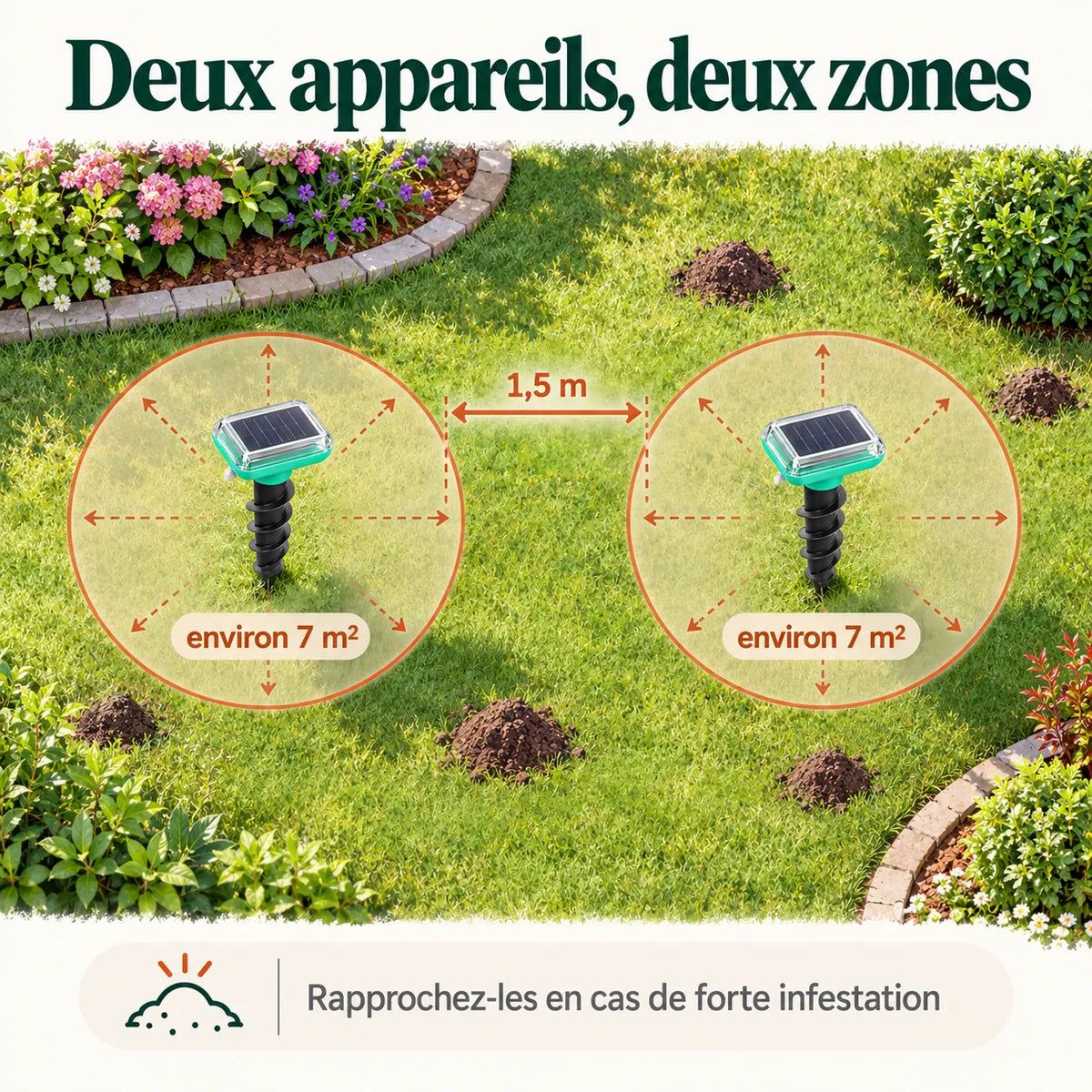 Deux répulsifs taupe espacés de 1,5 mètre sur une pelouse, chacun protégeant environ 7 m² autour de lui