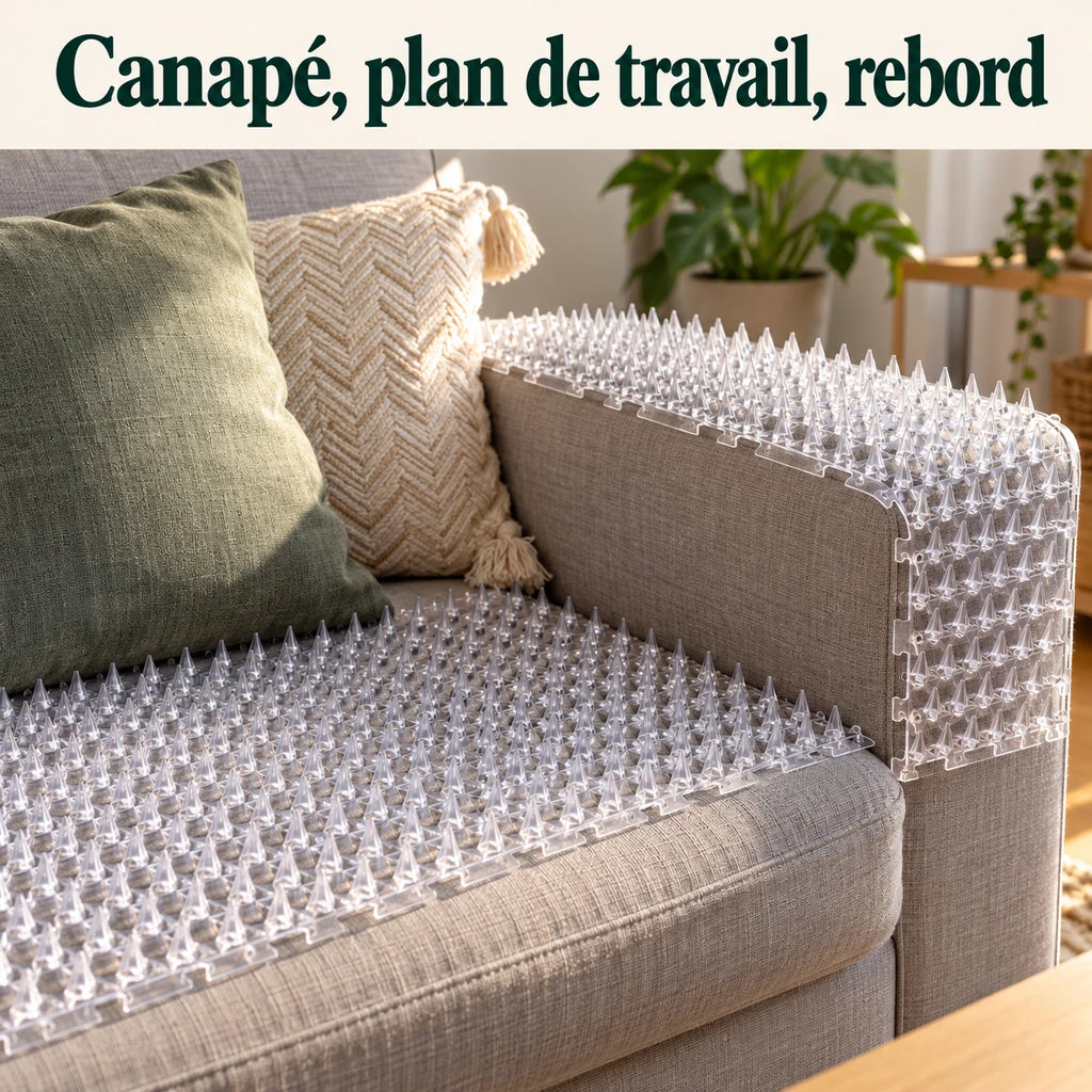 Tapis anti-chat à picots posé sur l'assise et l'accoudoir d'un canapé